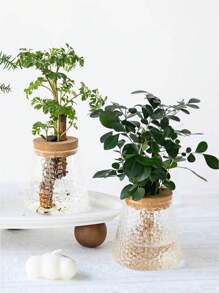 [錘痕玻璃] 北歐風格創意水培桌面室內辦公室客廳盆栽盆 - 無色 - 查看 2