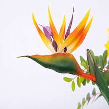 HAOSHICS 3Pcs Artificial Heaven Bird Flowers,Fake Bird Of Paradise Strelitzia,Faux Silk Plants For Home Office Wedding Table Centerpeice Decor, Valentine Day, Gift Gifts Birthday Graduation