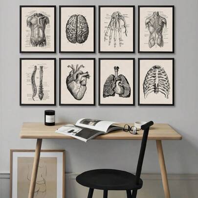 1/8 peças Impressões de pôster em tela sem moldura, Obra de arte de anatomia humana, Pôsteres vintage de esqueleto muscular, Quadros de parede médicos, Pinturas educacionais, Decoração de parede à prova d'água