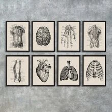 1/8 piezas Impresiones de póster de lienzo sin marco, obras de arte de anatomía humana, carteles vintage de esqueleto y músculos, cuadros de pared médicos, pinturas educativas, decoración de pared impermeable