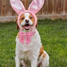 1套新的復活節兔限量版腮紅兔寵物狗,室內外適用的布項圈配有銀色扣和蝴蝶領結的組合 - 粉色 - 查看 5
