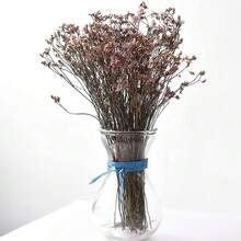 6Rolls Raffia Coloured  20m/65ft/1Roll Raffia Paper Ribbon Wrapping Raffia Craft Raffia Ribbon Raffia Twine For Making Craft Scrapbook Decorations Gift Box Wrapping, Weaving Christmas Florist - Light - View 4