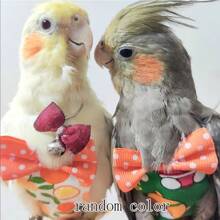 Pet Bird Diaper Urine Guard, Flight Control Clothes For Parrot, Mynah & Sun Conure With Flight Training Rope - Multicolor - View 1