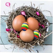 10入組復活節木質彩蛋設計,diy蛋裝飾手工藝品,派對裝飾仿真蛋,兒童木製玩具 - 卡其色 - 查看 3