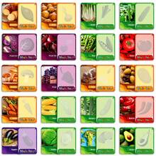 91Pcs Food Cognition Flash Cards, Realistic Fruits & Vegetables Flash Cards For Students, Creative Flash Cards For Classroom Education, Homework, Study Supplement Learning Cards - Multicolor - View 2