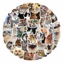 100 件可爱猫咪贴纸搞笑猫咪表情包涂鸦美学装饰乙烯基防水贴纸适用于水瓶、电脑、笔记本电脑、手机、行李箱、笔记本、贴纸表情包、防水贴纸、贴纸 100 件、猫咪用品、笔记本贴纸、猫咪贴纸、搞笑贴纸、贴纸书、贴纸、猫咪贴纸、猫咪、贴纸、猫咪贴纸、猫咪、贴纸、猫咪贴纸、猫咪