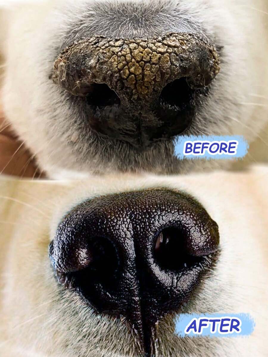 Nose Balm For Dogs And Cats Moisturizer For Dry Skin On Dogs' Noses