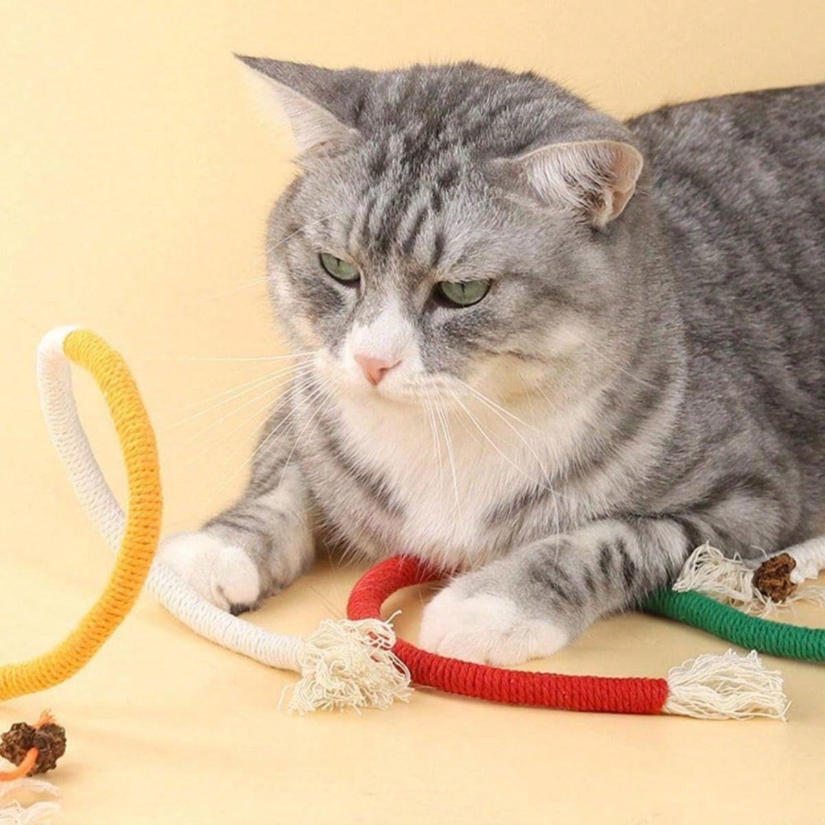 Cat Toys For Indoor Cats, Natural Catnip Kittens Cat Chew Toy For Teeth Cleaning, Dental Health