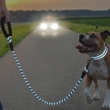 1 套寵物皮帶和項圈,反光皮帶和可調式尼龍項圈,適合中型、小型和大型犬 - 黑色 - 查看 8