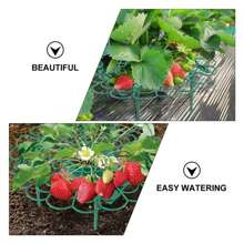 5入組草莓支架草莓架,陽台種植架植物花架,適用於家庭花園裝飾用品 - 綠色 - 查看 5