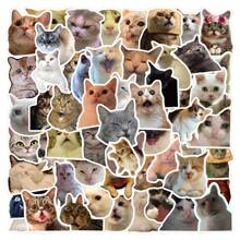 100 件可爱猫咪贴纸搞笑猫咪表情包涂鸦美学装饰乙烯基防水贴纸适用于水瓶、电脑、笔记本电脑、手机、行李箱、笔记本、贴纸表情包、防水贴纸、贴纸 100 件、猫咪用品、笔记本贴纸、猫咪贴纸、搞笑贴纸、贴纸书、贴纸、猫咪贴纸、猫咪、贴纸、猫咪贴纸、猫咪、贴纸、猫咪贴纸、猫咪