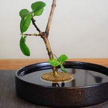 One Sword-Shaped Flower Arrangement Tool For Stabilizing Flower Stems, Traditional Chinese And Japanese Flower Arranging Equipment With Copper Needle And Base, Flower Arranging Frog - Gold - View 9