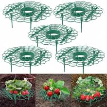 5入組草莓支架草莓架,陽台種植架植物花架,適用於家庭花園裝飾用品 - 綠色 - 查看 1
