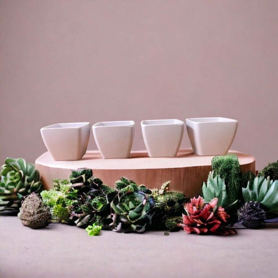 Vases - 白色 - 查看 1