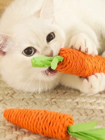 1pc Cat Toy Pet Chew Toy With Cute Paper Rope, Carrot-Shaped Interactive Cat Toy For Entertainment And Stress Relief, Bite-Resistant