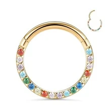 1pc Stainless Steel 16G Nose Rings Hinged Segment Ear Cartilage Tragus Earrings Helix Hoops Septum Clicker Piercing Jewelry