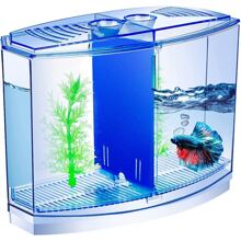 Mini Plastic Fish Tank For Aquarium Hobbyist, With Separation Box, Suitable For Shrimp, Crab, Seaweed Ball, Etc. - Blue - View 1