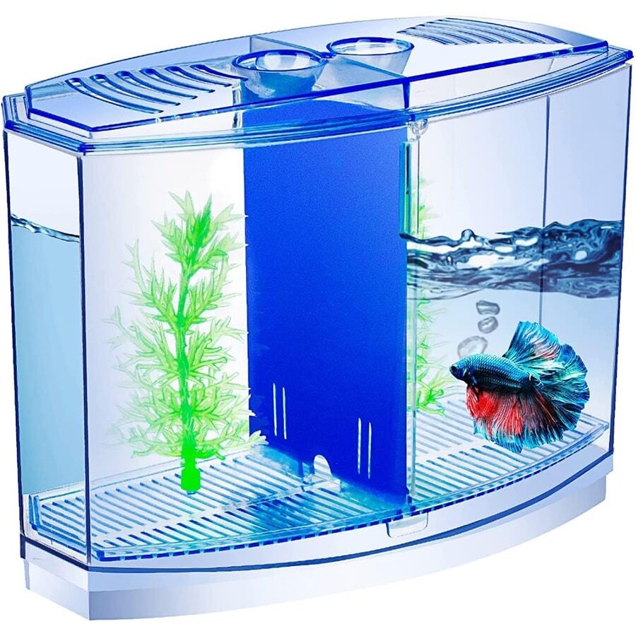 Mini Plastic Fish Tank For Aquarium Hobbyist, With Separation Box, Suitable For Shrimp, Crab, Seaweed Ball, Etc. - Blue - View 1