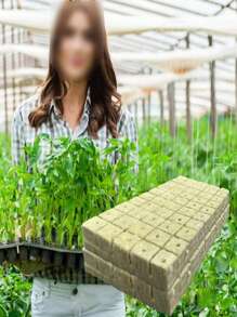 25/50/100 piezas Sustratos de cultivo sin suelo para la propagación de vegetales de hoja, calabazas, flores y plántulas de árboles, alternativa a la lana de roca para la propagación hidropónica