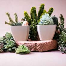 Vases - 白色 - 查看 2