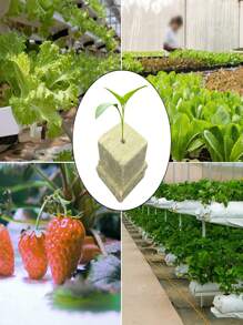 25/50/100 piezas Sustratos de cultivo sin suelo para la propagación de vegetales de hoja, calabazas, flores y plántulas de árboles, alternativa a la lana de roca para la propagación hidropónica