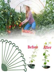 5pcs/Set Plant Support Stake For Flower & Potted Plants Including Alocasia, Chamaedorea Elegans Etc. - Green - View 2