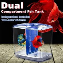Mini Plastic Fish Tank For Aquarium Hobbyist, With Separation Box, Suitable For Shrimp, Crab, Seaweed Ball, Etc. - Blue - View 5