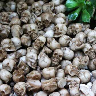 20pcs Mini Skulls, Small Skeleton Head Flowerpot Decor Realistic Skull Crafts Halloween Garden Decoration Bonsai Courtyard Ornaments