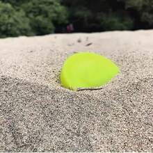 New Arrival Silicone , Zip Chip , Fingertip Mini , And Illuminated Luminous Silicone - Yellow - View 8