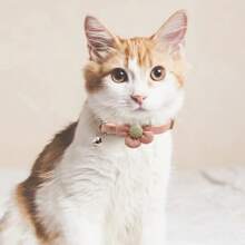 Juego De 3 Collares Para Gatitos Con Campanita, Collar Para Gatos Con Broche De Seguridad, Adaptale Y Decorado Con Flores Ajustable, Para Gatos Cachorros Hembras Y Machos (rosado, Blanco Y Verde) - Blanco - Ver 5