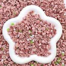 50pcs Mixed Color Random Flower Nail Art Decorations For Diy - Multicolor - View 2