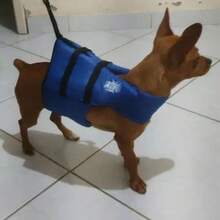 Swim Vests - Blue - View 3