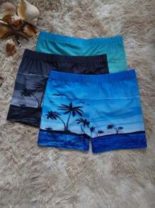 KIT 3 sunga box masculina moda praia importado