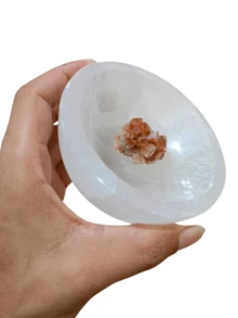 Bowls & Plates - trắng - Xem 5
