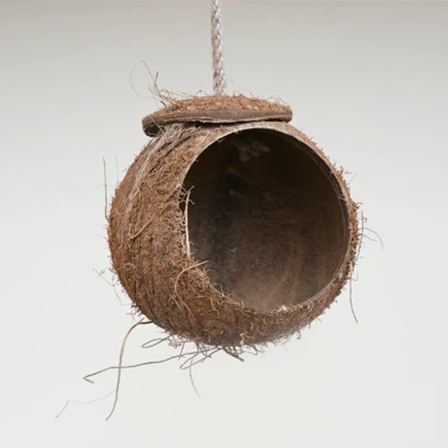 1 件天然椰子壳鸟巢，固定绳椰子鸟笼繁殖盒适用于鹦鹉，宠物用品，创意工艺品适用于小型鸟类