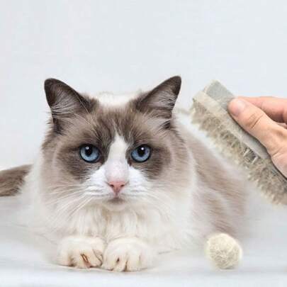 1 件装猫/狗爱好者礼物和狗/猫妈妈喜爱的宠物毛发去除剂、硅胶海绵刷、美容沐浴按摩梳，适合猫爱好者和猫妈妈喜爱和狗爱好者和狗妈妈喜爱