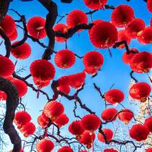 10pcs/Set Red Paper Lantern Decoration For Festival, Chinese Wedding, Engagement, Housewarming Party, Mid-Autumn Day,Home Decor ,Room Decor,Wall Decor Gifts Birthday Graduation