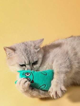 1入組貓玩具,自娛娃娃,寵物貓孤獨陪伴和紓壓,幫助慣著牙齒