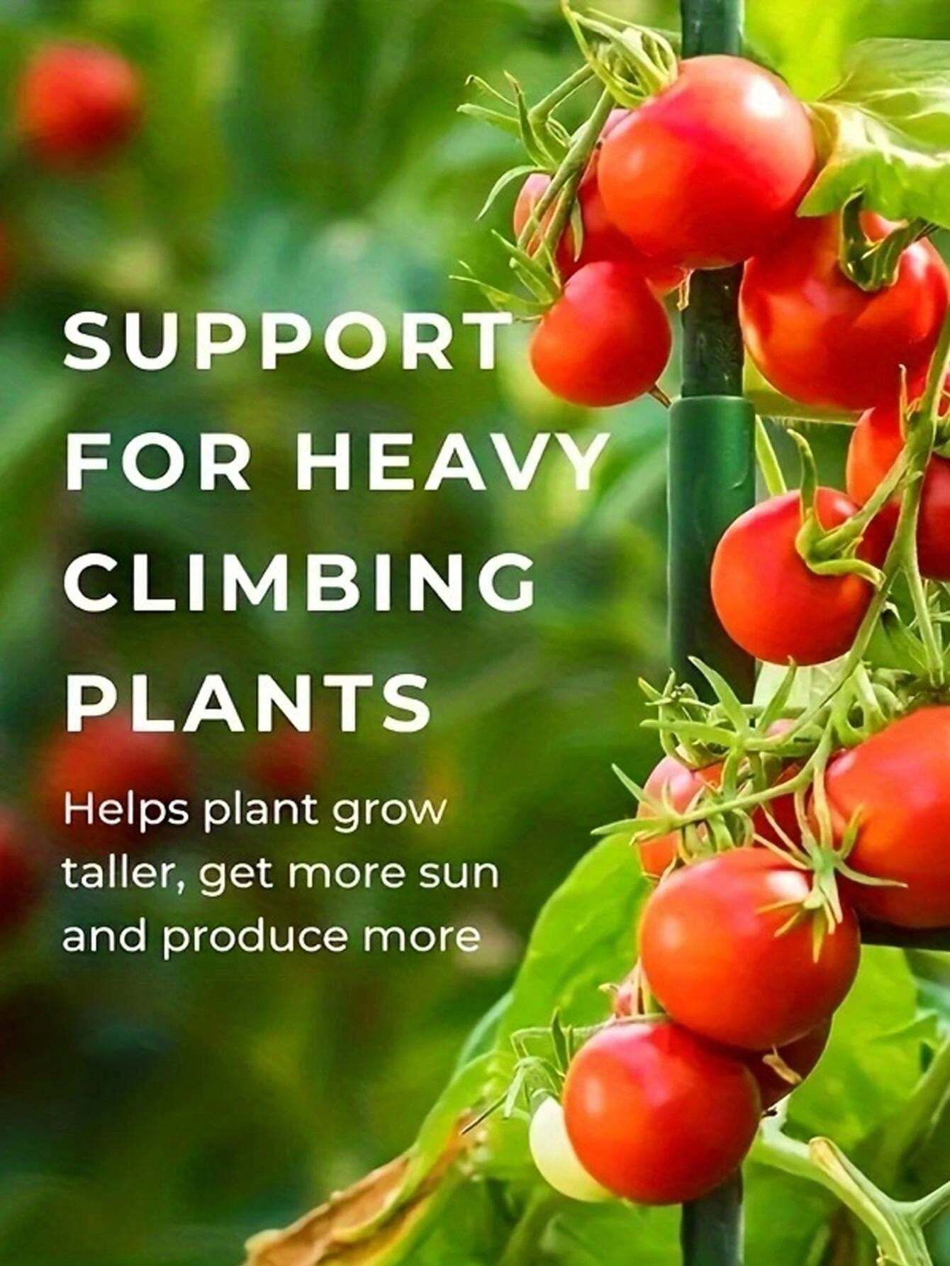 Pali di Supporto per Piante Traliccio da Giardino Gabbie per Pomodori e Supporti per Colture di Viti, Pali di Supporto per Piante Rampicanti Pali di Supporto per Piante in Vaso per Verdure