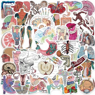 50PCS  Cute Organ Anatomy Diagram Stickers, Cartoon Graffiti Decoration Stickers For Laptop Water Bottle Luggage Helmet Skateboard Stationery Motorcycle, Teenager Stuff, Classroom Decor Art Supplies