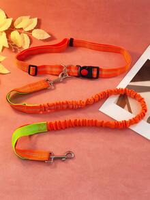 1 Miếng Đa dụng Đàn hồi Chống nổ Thú cưng Dây kéo Đối với Ngoài trời  chạy Và Đi dạo Chó - Nhiều màu - Xem 8