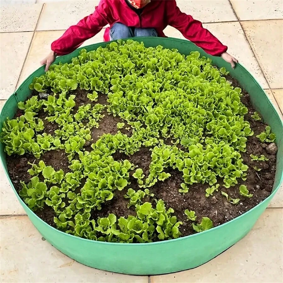 1入組圓形無紡布盆,適用於室內或室外種植水果、蔬菜、花卉 - 綠色 - 查看 1