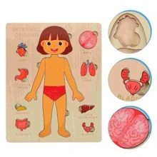 Rompecabezas de madera estilo Montessori, juego de anatomía del Body humano, herramienta educativa para niños, modelo de órganos, enseñanza preescolar de ciencias, herramienta cognitiva para niños y niñas, juguetes de doctor, juguetes de madera para niños