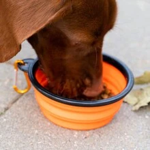 1pc Portable Collapsible Silicone Pet Bowl With Key Chain For Feeding And Drinking Outdoors - Blue - View 9