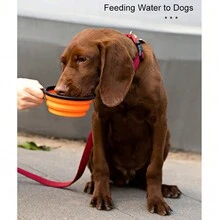 1pc Portable Collapsible Silicone Pet Bowl With Key Chain For Feeding And Drinking Outdoors - Blue - View 10