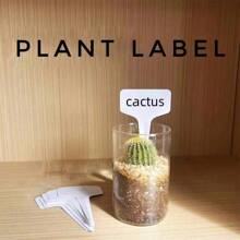 1 bộ Nhựa Không thấm nước Thực vật Nhãn , Lý tưởng Đối với Sân vườn Thực vật , Hoa , Cây mọng nước , Thủy canh , Nghề làm vườn Quân nhu - trắng - Xem 1