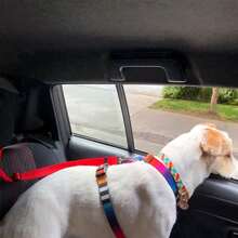 1PC Retractable Pet Car Seat Belt With Ring - Adjustable Vehicle Leash Harness For Small & Medium Dogs & Cats, Portable Dog Restraint, Easy To Use, Free Length Adjustment, Vehicle Headrest Tether Strap Dog Car Seat Car Seat Covers Dog Car Seat Cover Pet Car Seat