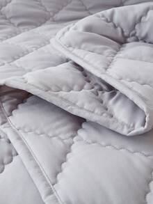 1 Miếng Nhẹ Và Ấm áp Chần Chăn Cái đó Là Thay thế Đến Xuống , Thích hợp Đối với Tất cả các mùa , Hoàn hảo Đối với Phòng ngủ , Phòng khách Và Ngoài trời - Màu Xám nhạt - Xem 4