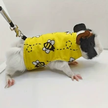 爬蟲類胸背帶步行牽引繩,適用於變色龍、松鼠和其他小型寵物 - 彩色 - 查看 5