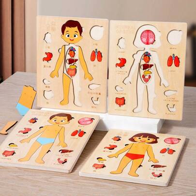 Rompecabezas de madera Montessori Juego de anatomía Puzzles del Body humano Herramientas educativas para niños Modelo de órganos Ciencia preescolar Herramienta cognitiva para niños y niñas, Juguetes de madera Montessori, Proyecto de ciencia, Rompecabezas de ciencia, Juguetes Montessori, Montessori, Juguetes educativos